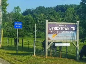 Rural residents attend virtual Suboxone visits in Byrdstown, TN